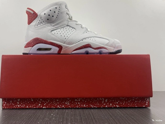 Reps TBK 6 CT8529-162 Jordan Retro Hare 0805